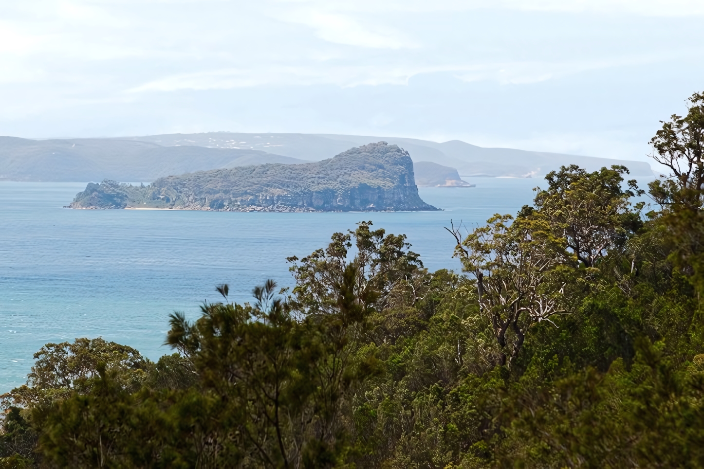 Central Coast NSW: Top Things to Do in One Day - A Perfect Itinerary for Exploring the Region