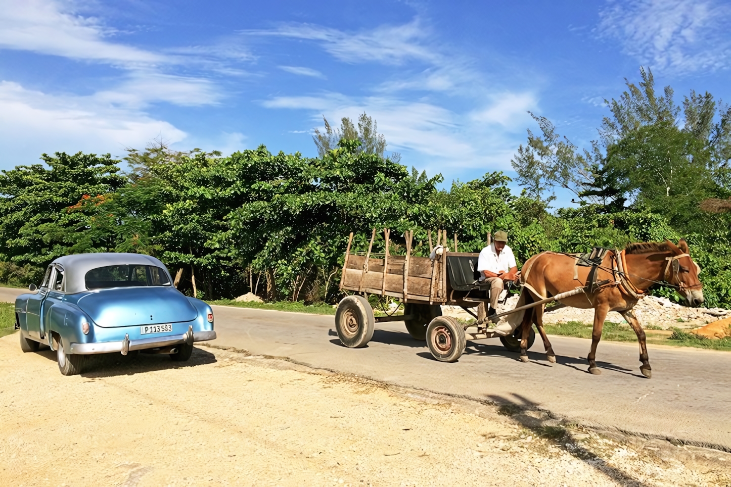 Locals in Playa Larga