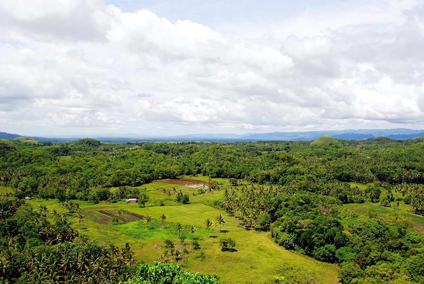 Bohol Island in a Day: Must-See Attractions and Activities in the Philippines