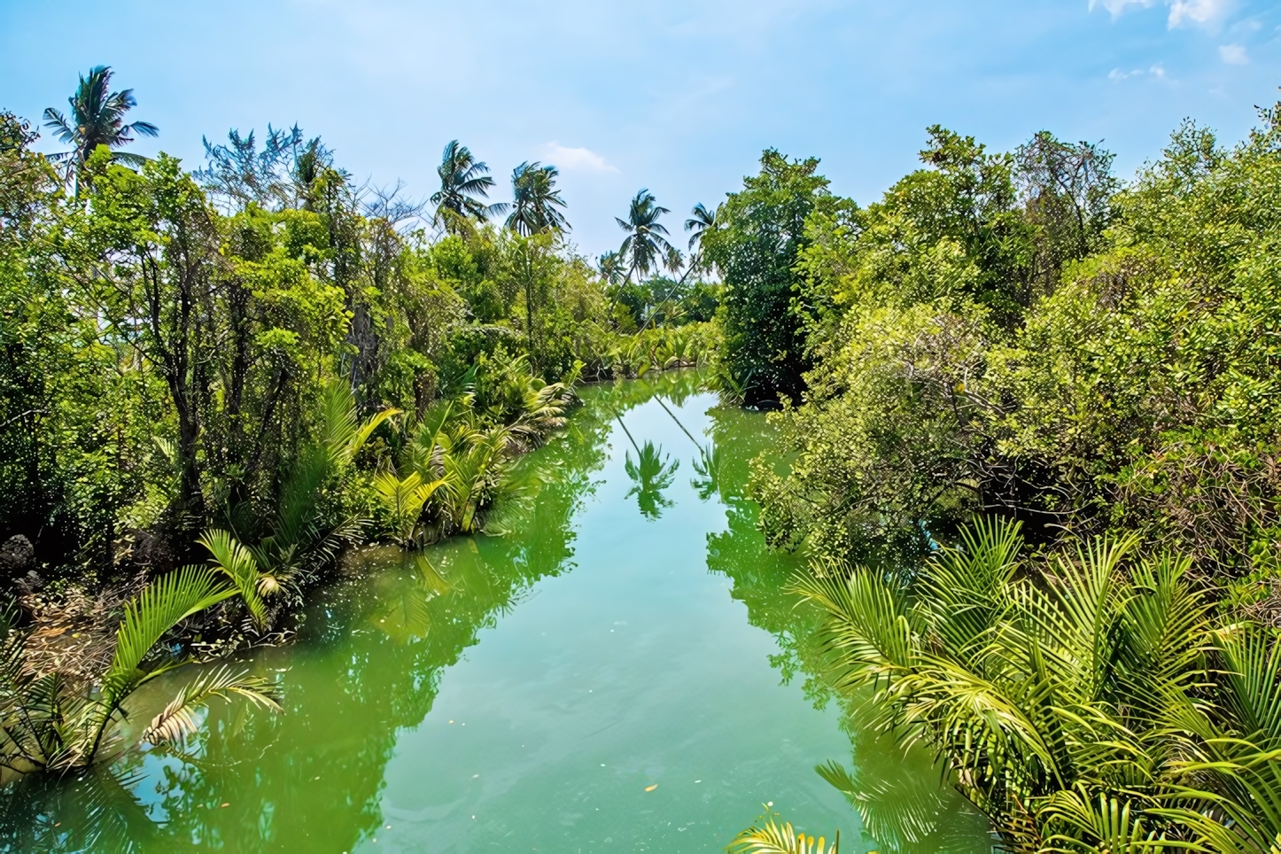 Koh Lanta in a Day: Must-See Attractions and Activities on Thailand's Idyllic Island