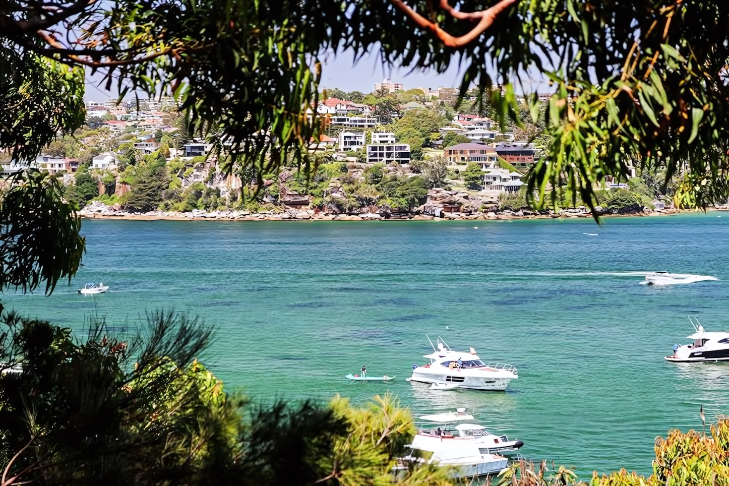 Manly in a Day: Must-See Attractions and Activities in NSW's Coastal Gem