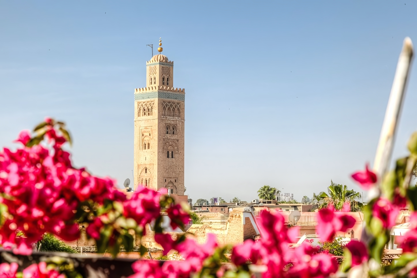 Marrakesh in 24 Hours: Must-See Attractions and Experiences in Morocco's Red City