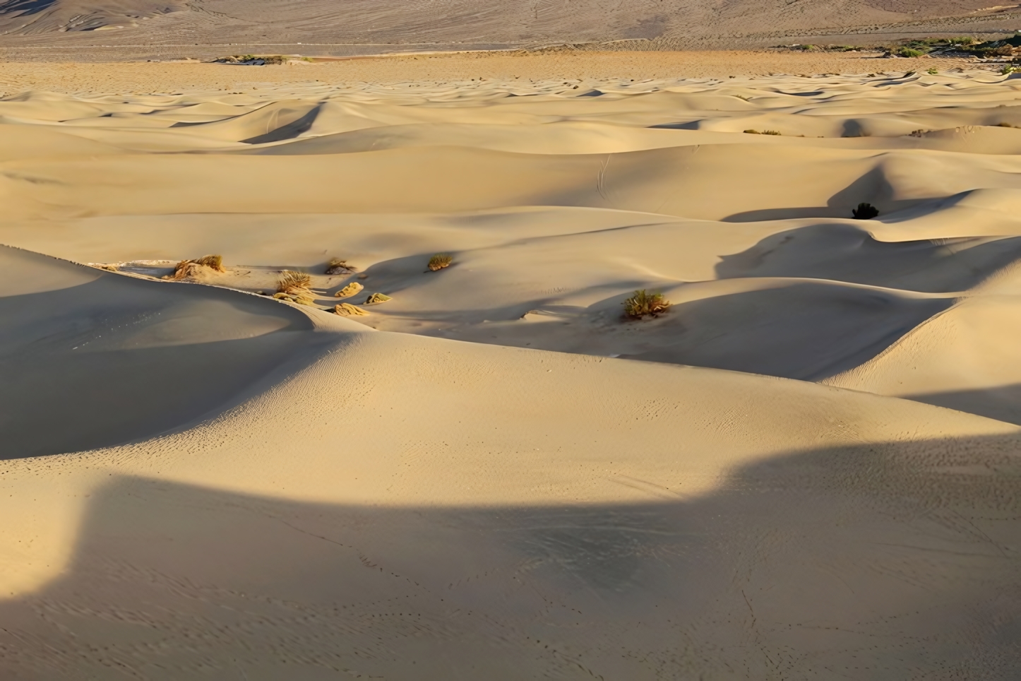 Mesquite Flat Sand Dunes, Death Valley