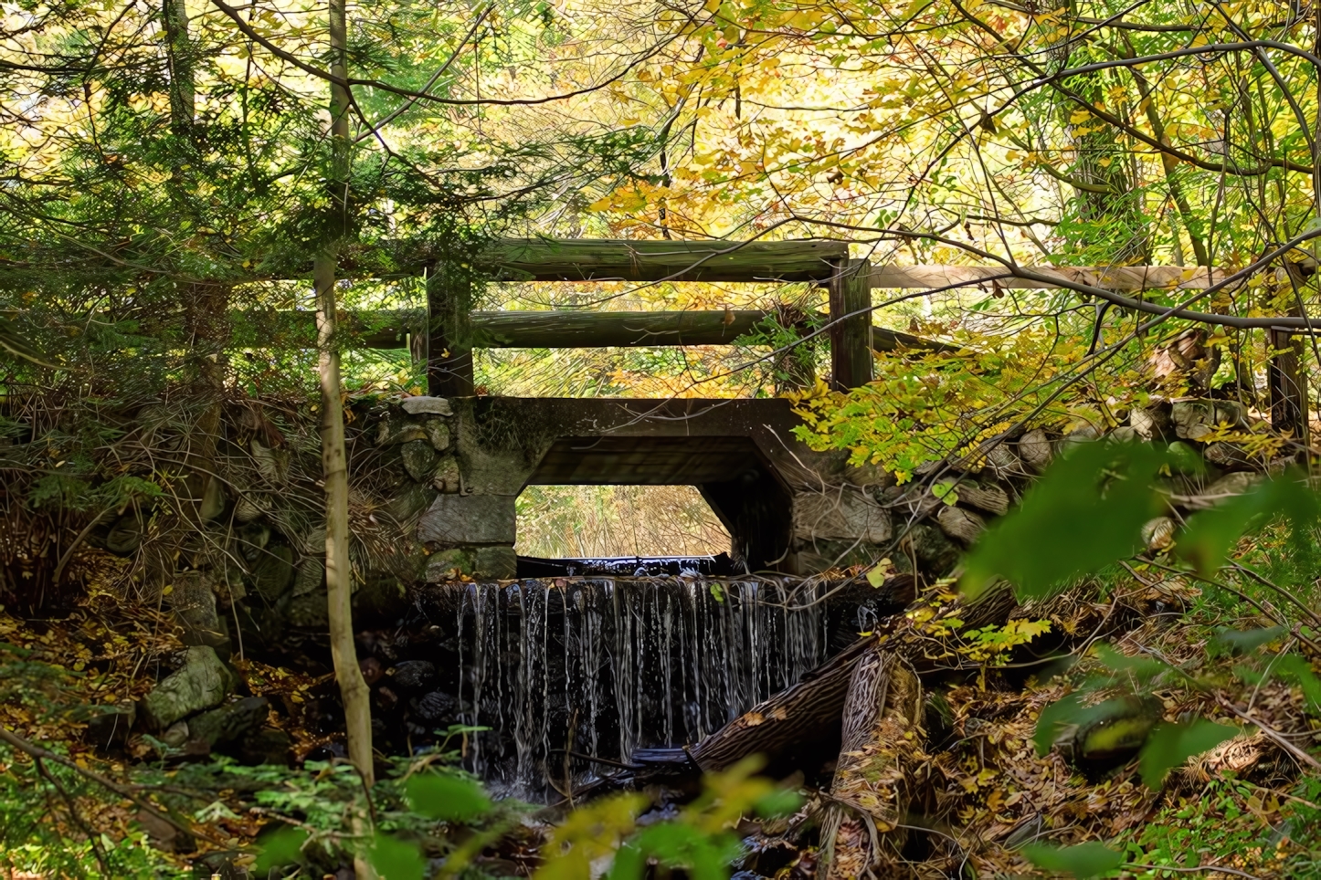 Middlesex Fells Reservation