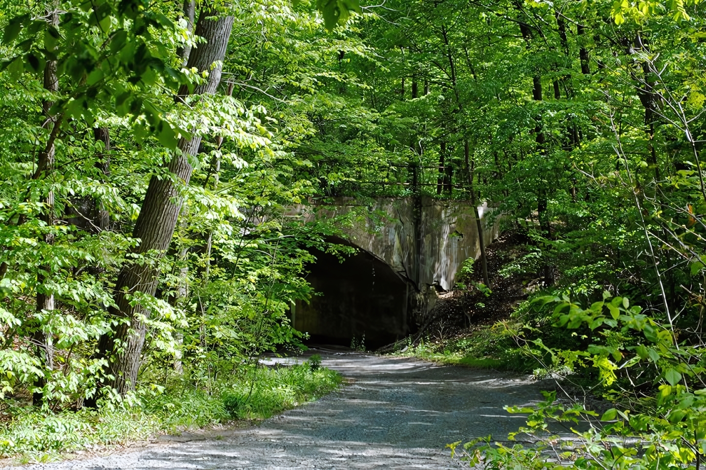 Middlesex Fells Reservation