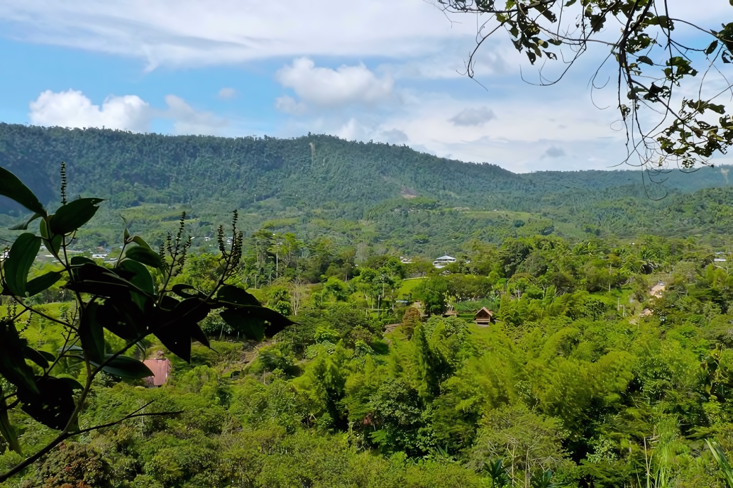 Mindo in a Day: Essential Experiences in Ecuador's Cloud Forest Paradise