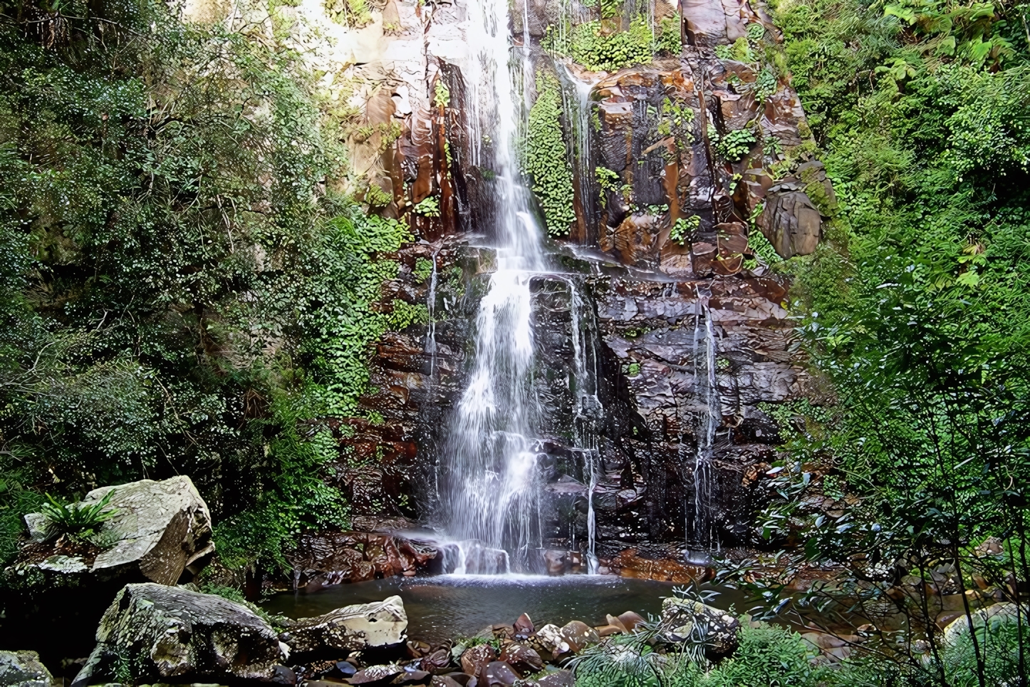 Minnamurra Falls, Shellharbour