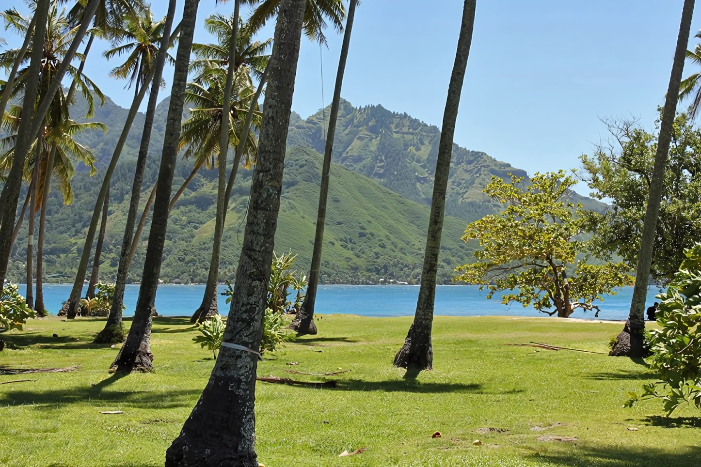 Moorea Beach, Tahiti