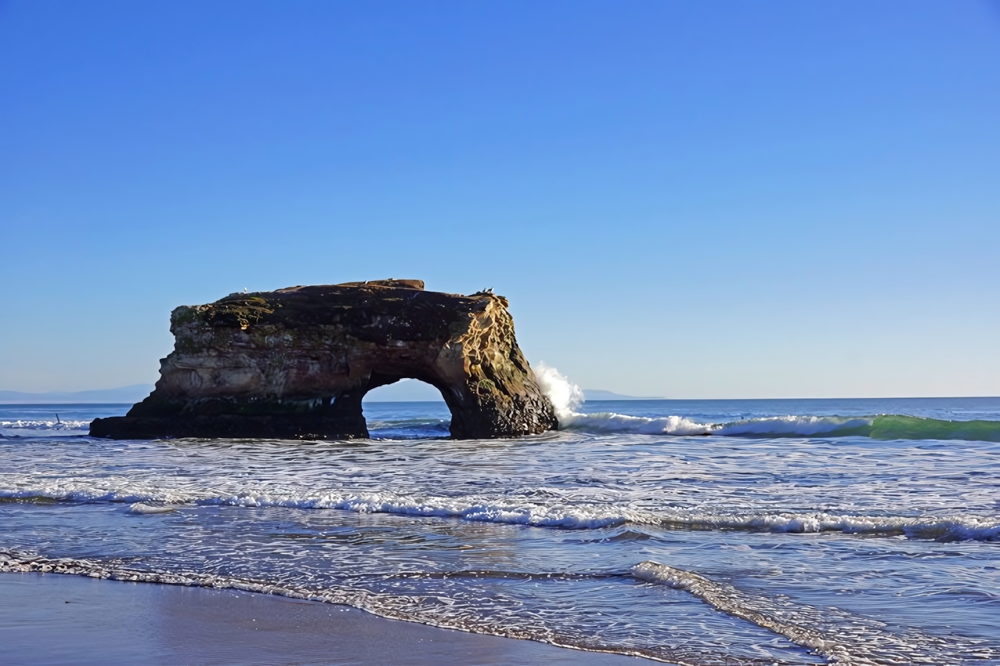 Discover Santa Cruz: A Perfect Day of Coastal Adventures and Local Attractions