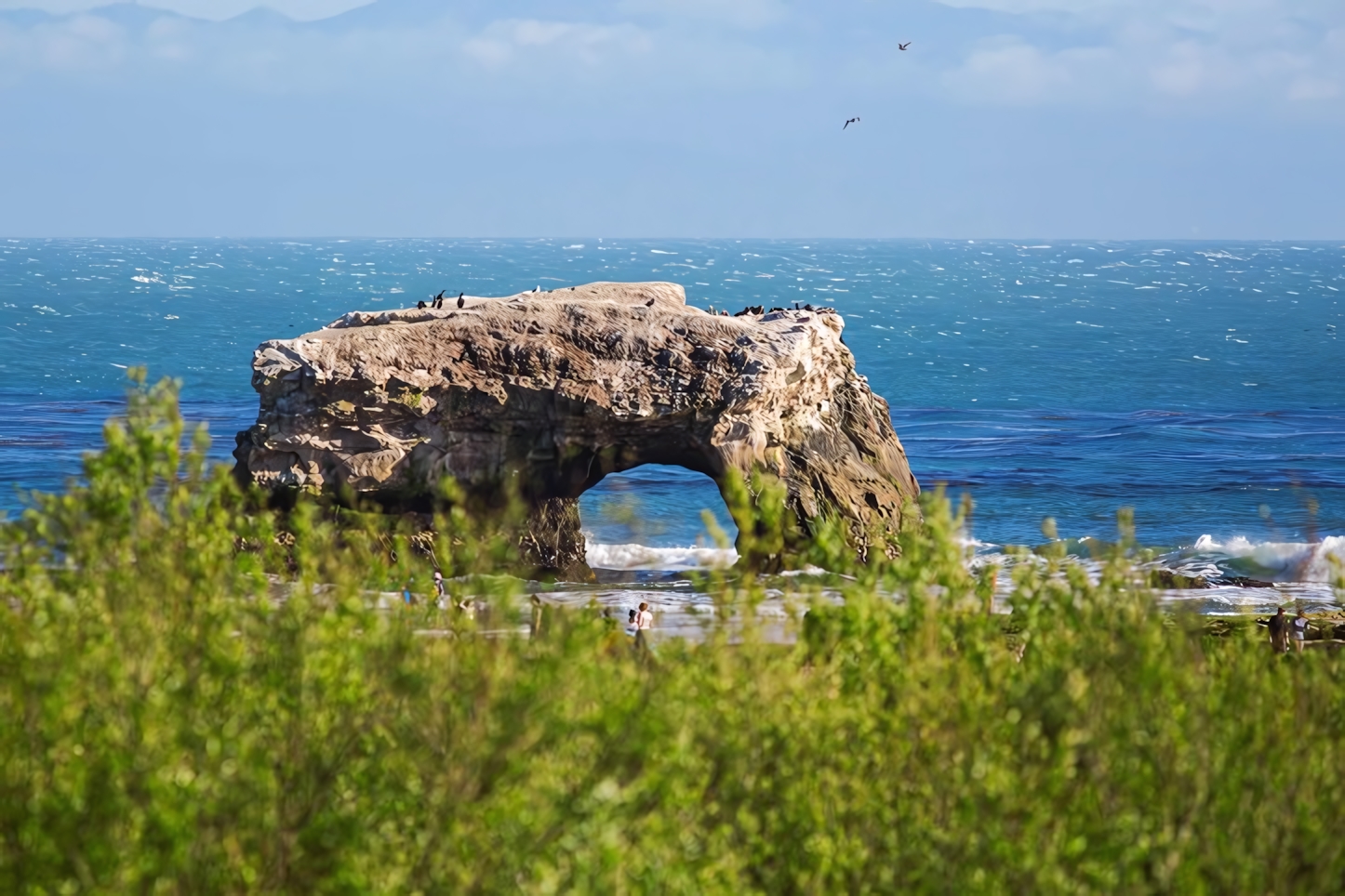 Natural Bridges State Beach, Santa Cruz