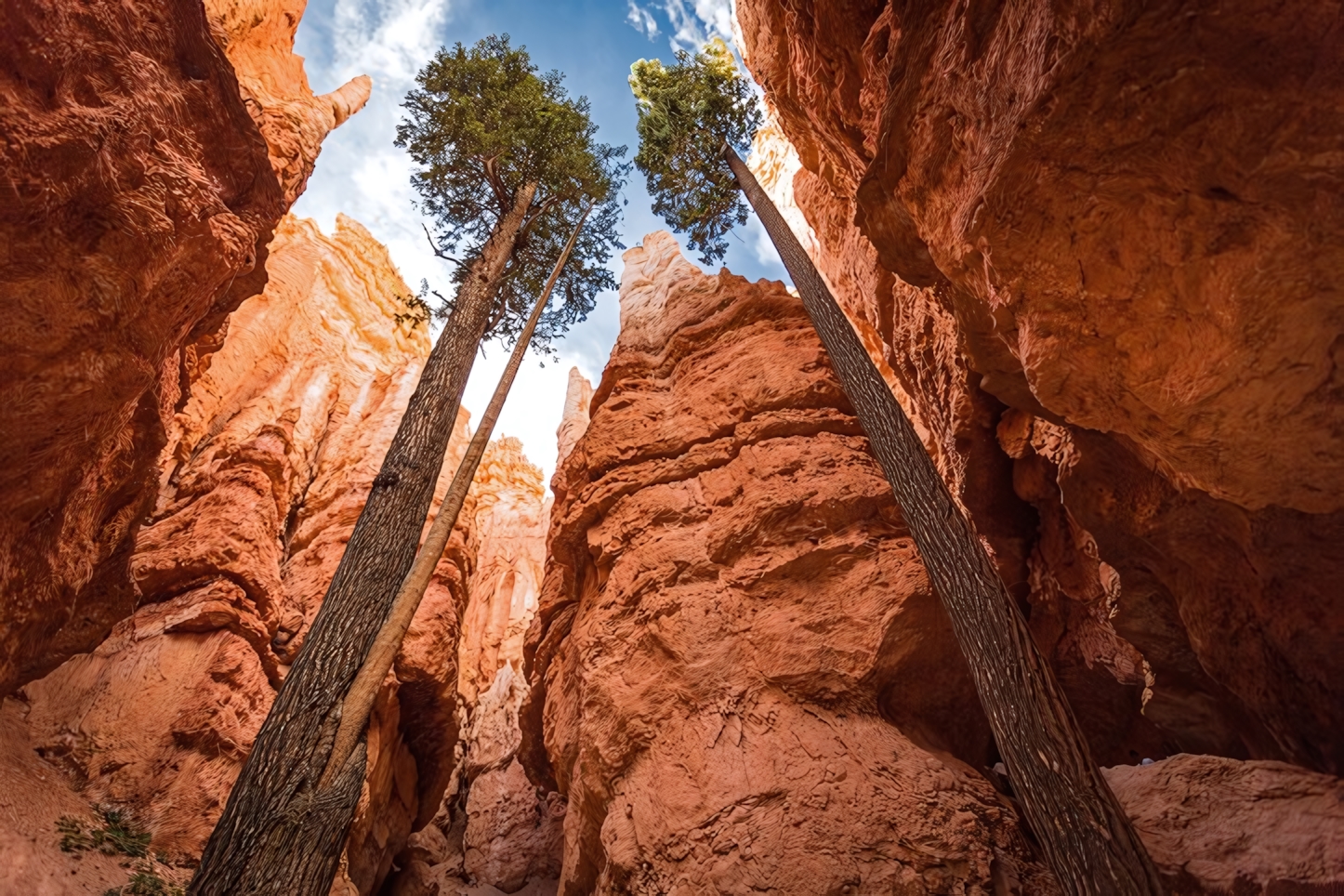 Navajo Loop, Bryce Canyon