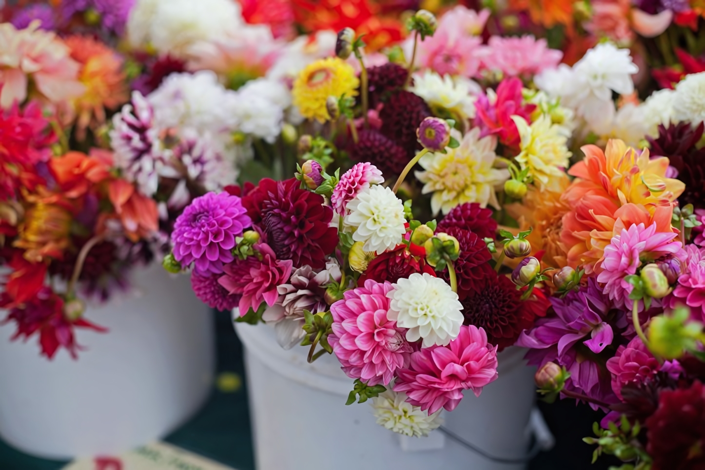 Oakland Farmers Market