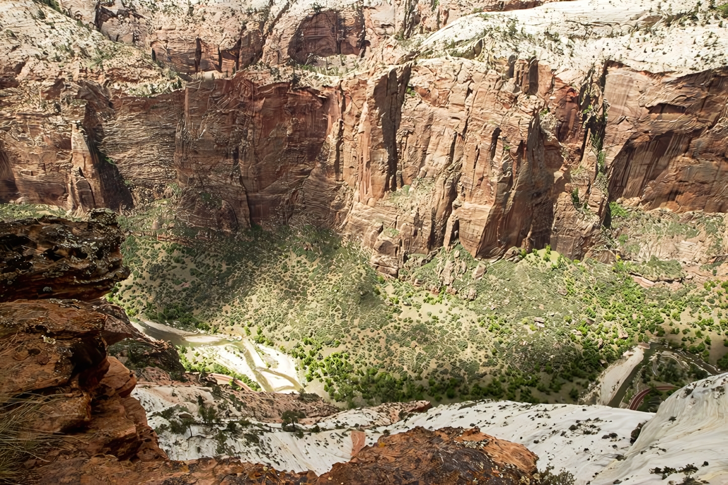 Observation Point View