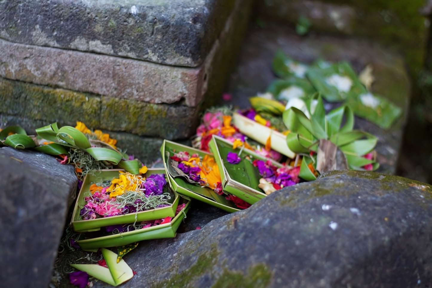 Offerings, Ubud