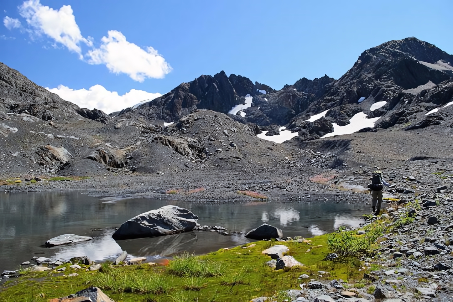 Olympic National Park in a Day: Must-See Attractions and Activities in Washington's Natural Wonder