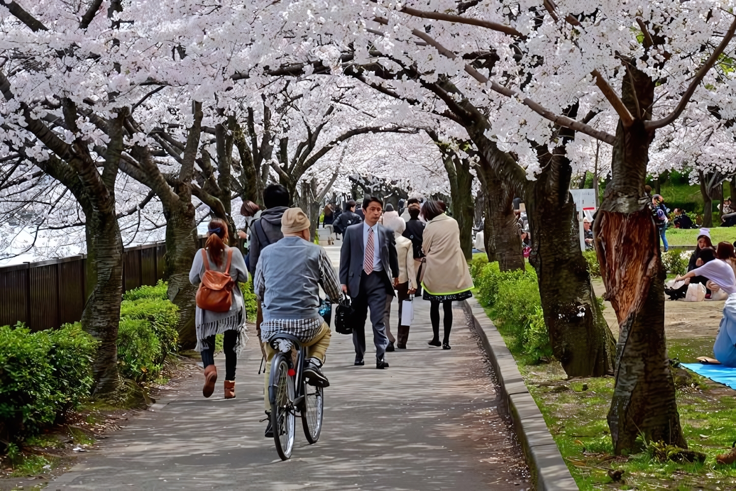 Osaka in a Day: Essential Sights and Experiences in Japan's Vibrant City