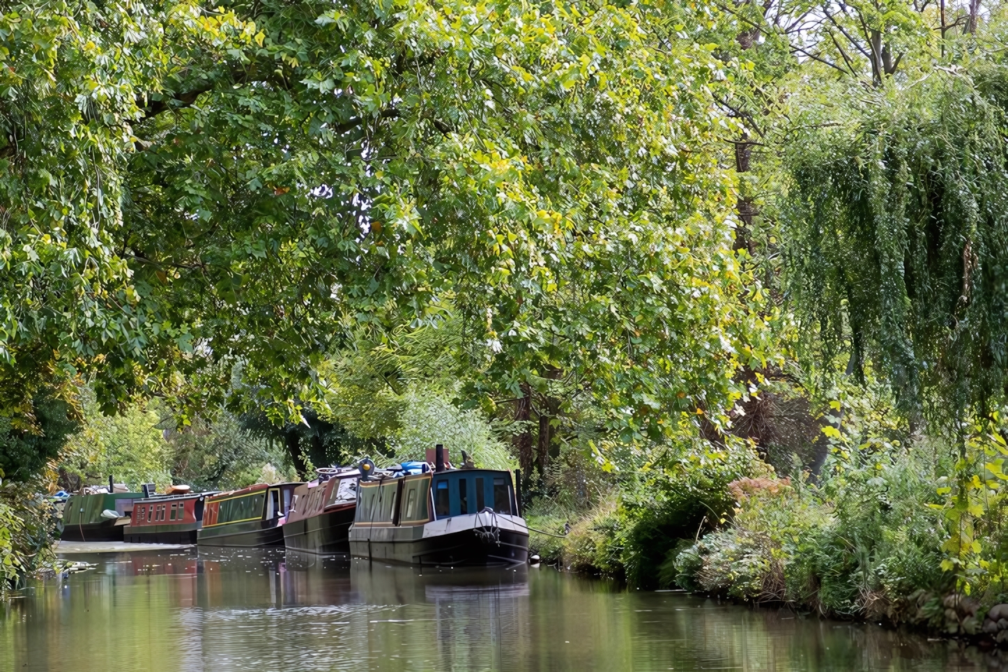 Oxford Canal