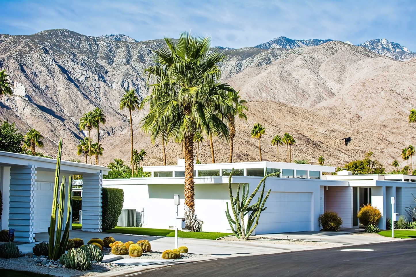 Palm Springs in a Day: Must-See Attractions and Activities in California's Desert Oasis