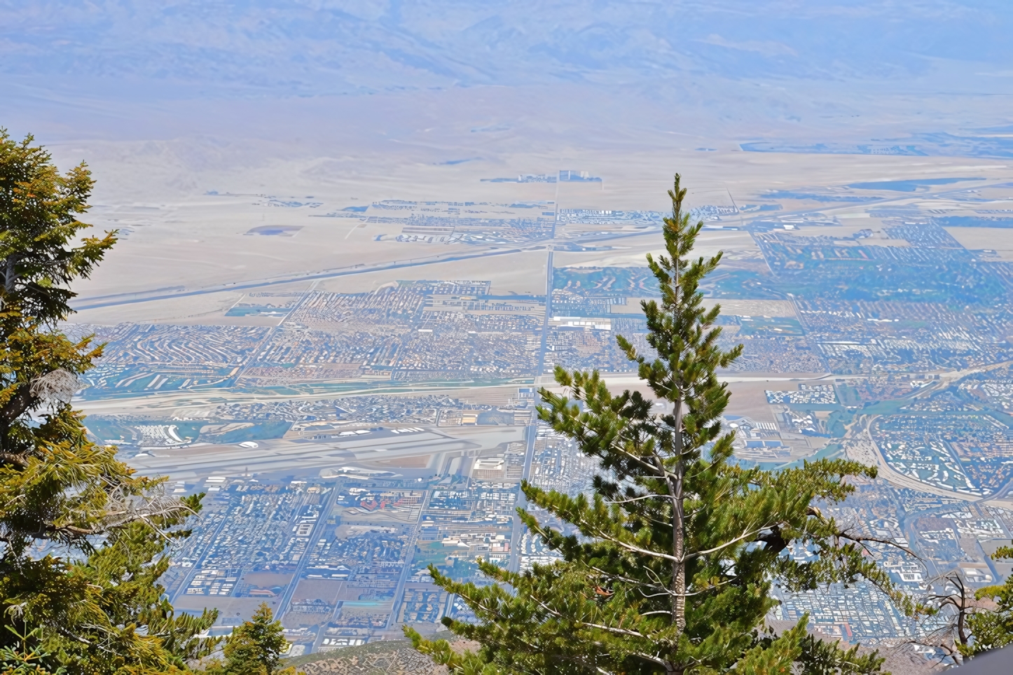 Palm Springs Aerial Tramway View