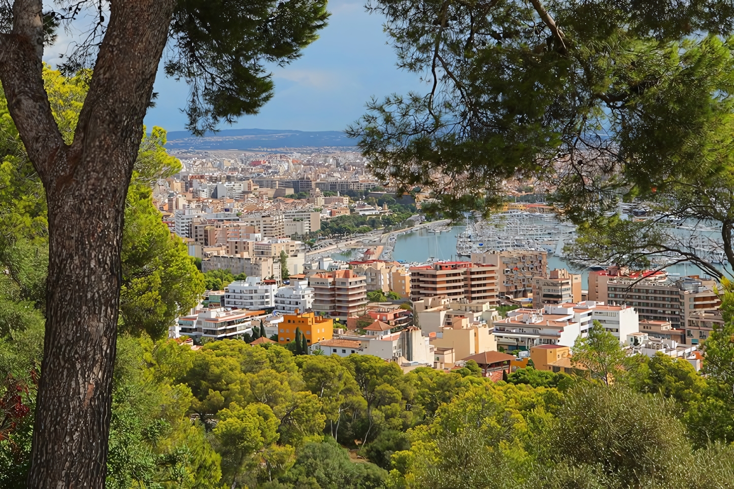 Palma de Mallorca from Bellver Castle