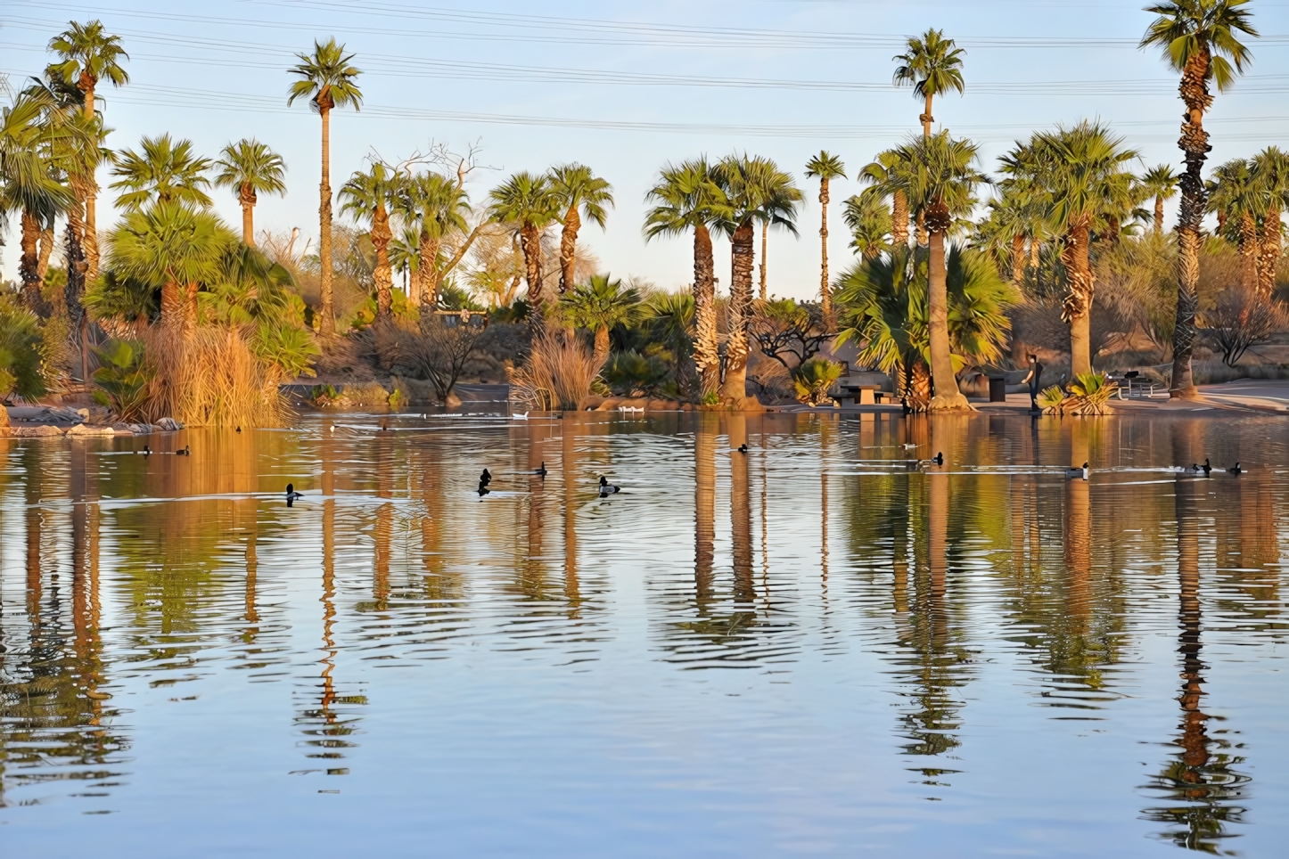 Papago Park