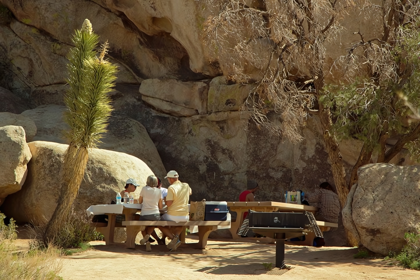 Picnic at Hidden Valley Picnic Area, Joshua Tree