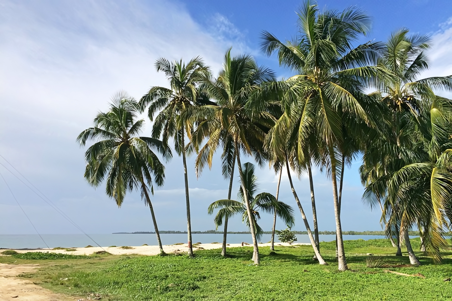 Playa Larga, Cuba: A Perfect Day of Beaches, Nature, and Culture