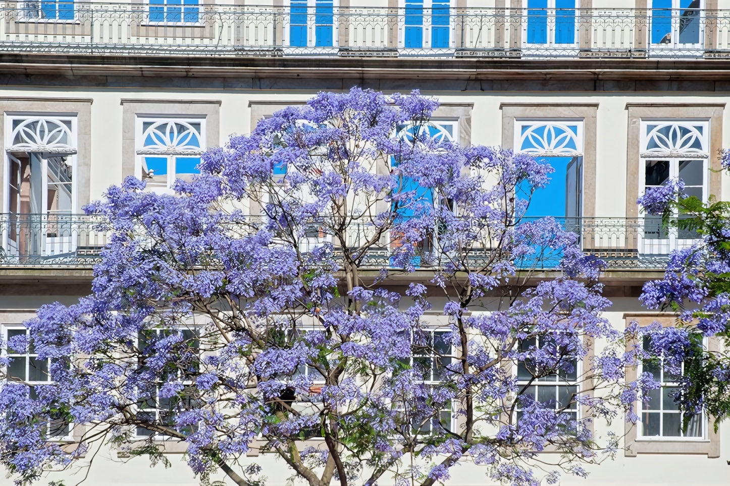 Porto in a Day: Must-See Attractions and Experiences in Portugal's Charming Northern City