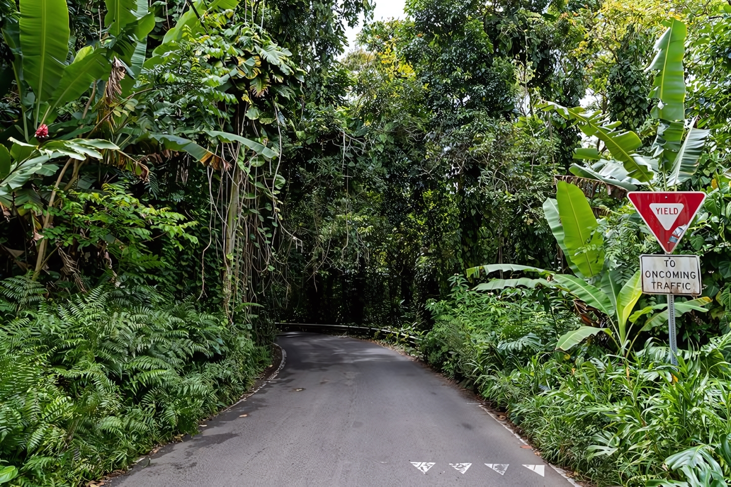 Road to Hana, Maui