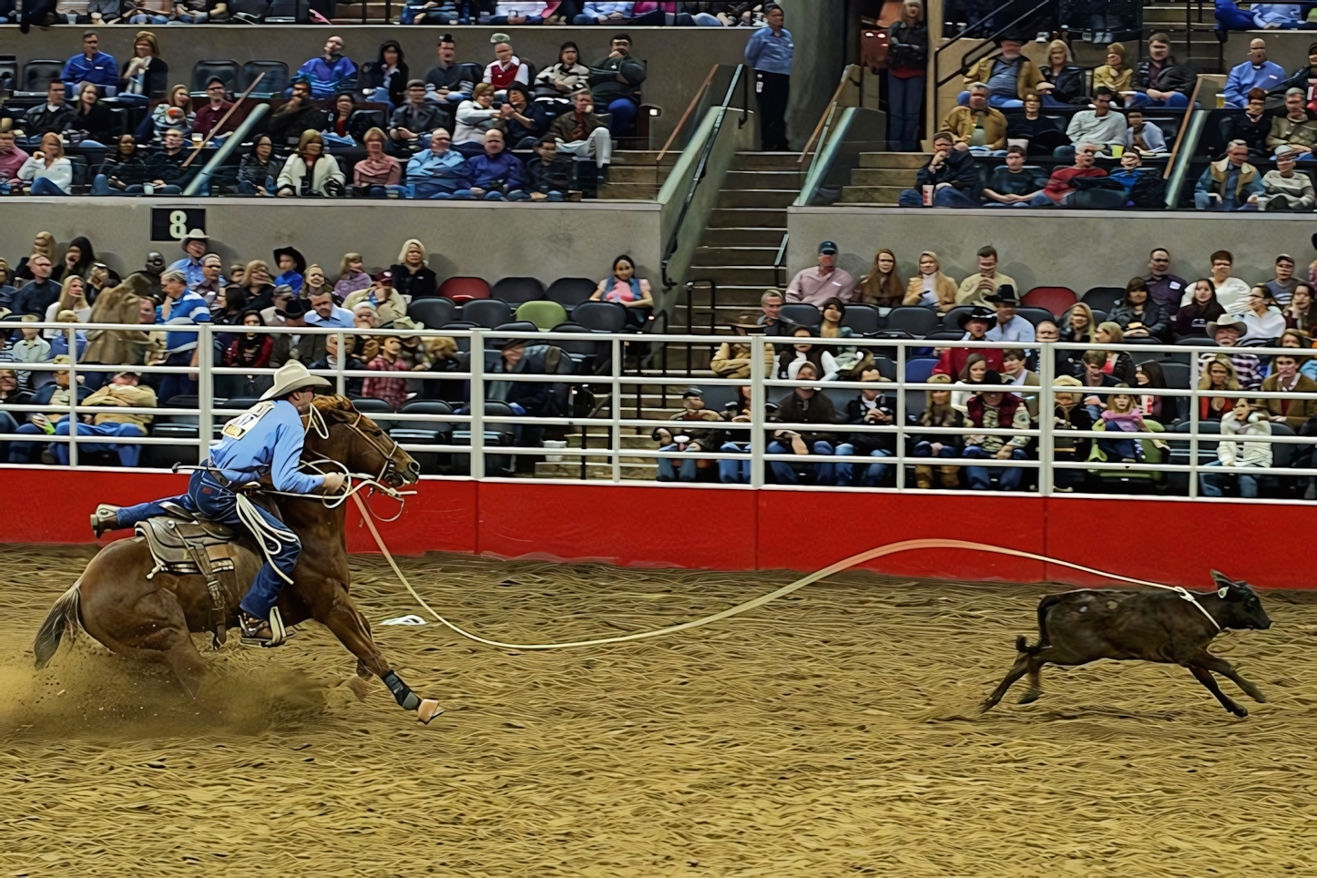 Rodeo, San Antonio