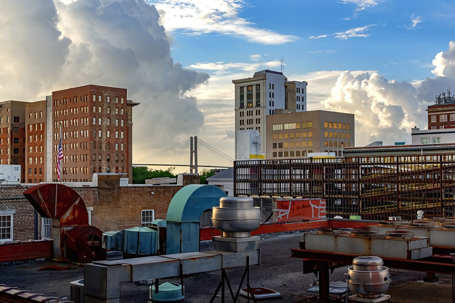 Rooftop picture, Savannah