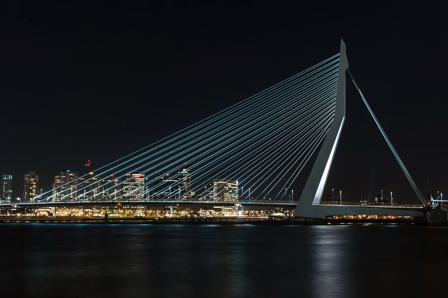 Erasmusbrug at night, Rotterdam