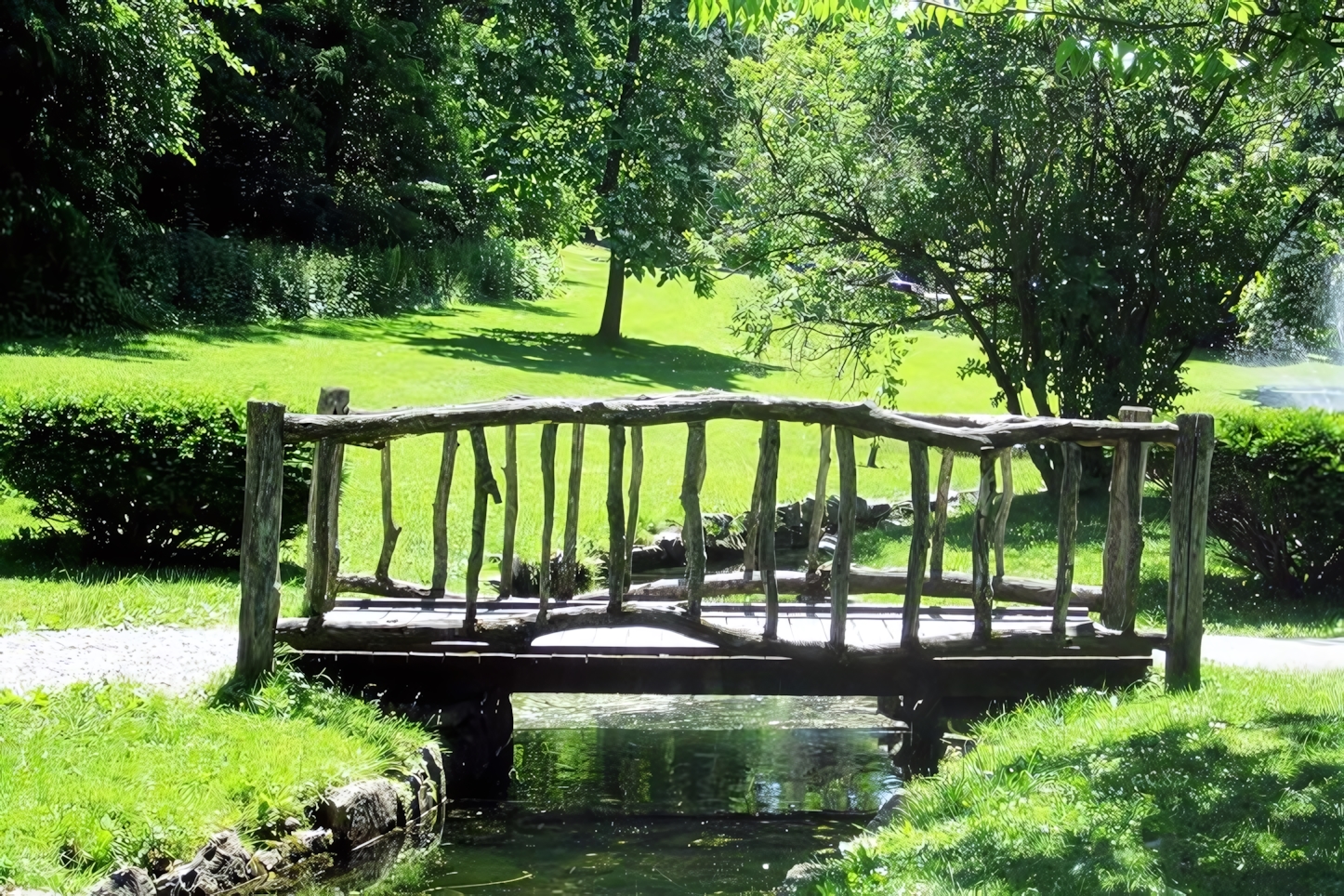 Rustic Bridge at Congress Park