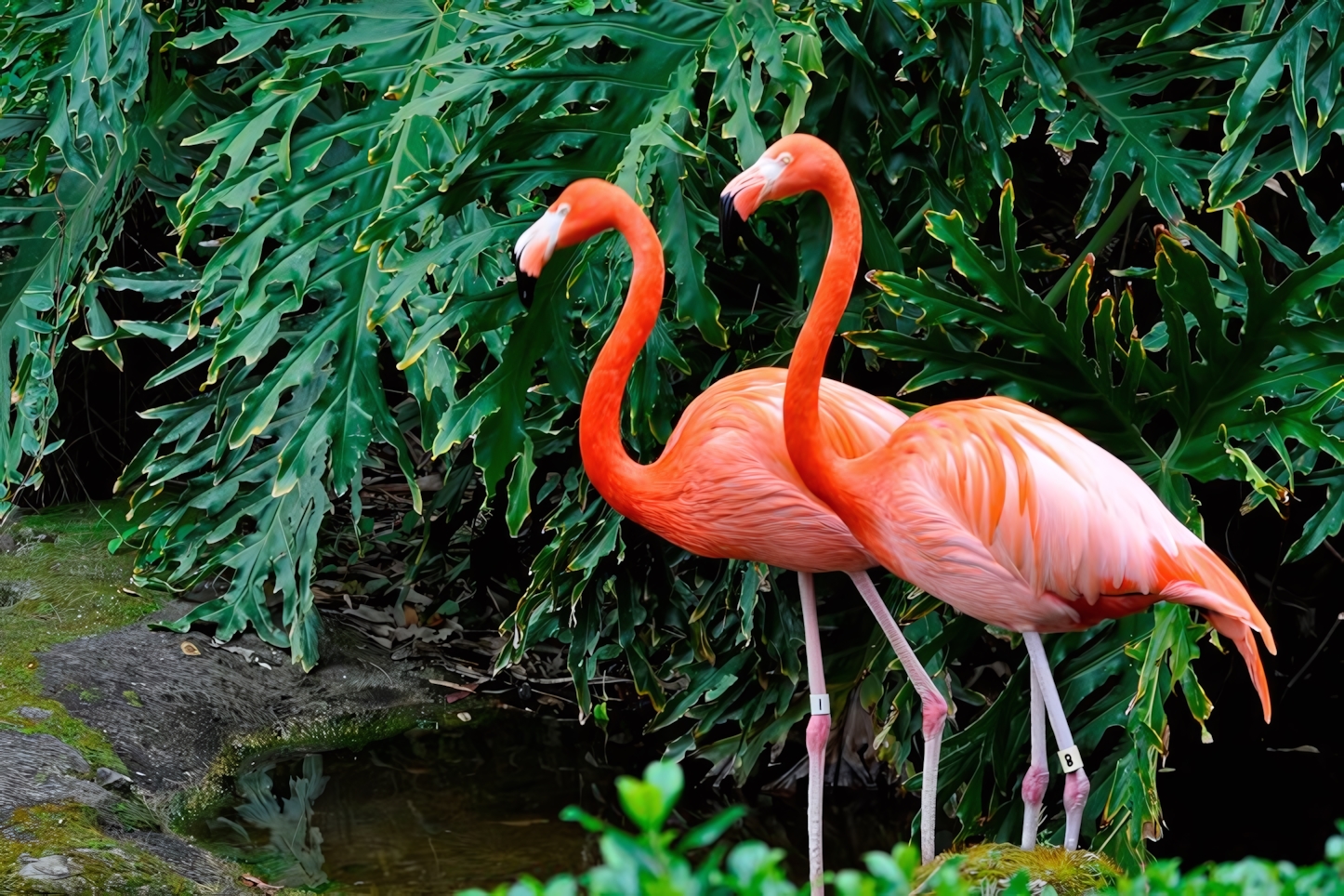 Sacramento Zoo