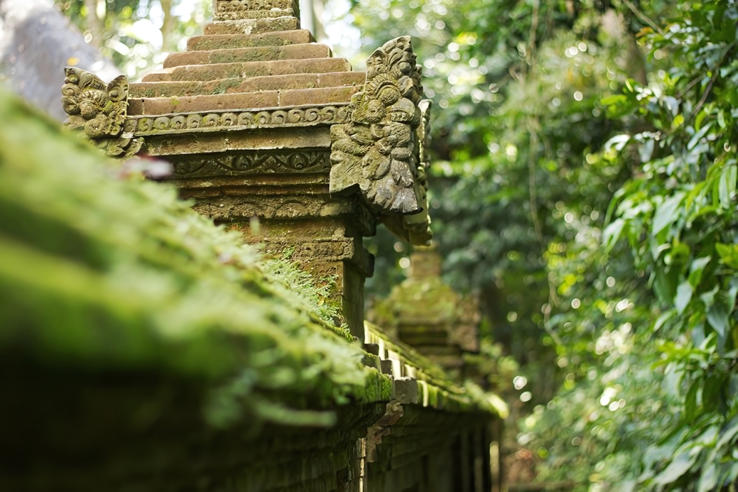 Sacred Monkey Forest Sanctuary, Bali 2