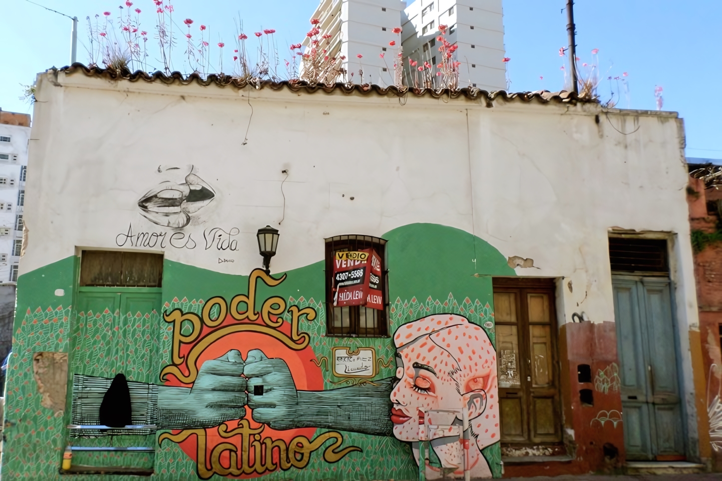 San Telmo Street Art