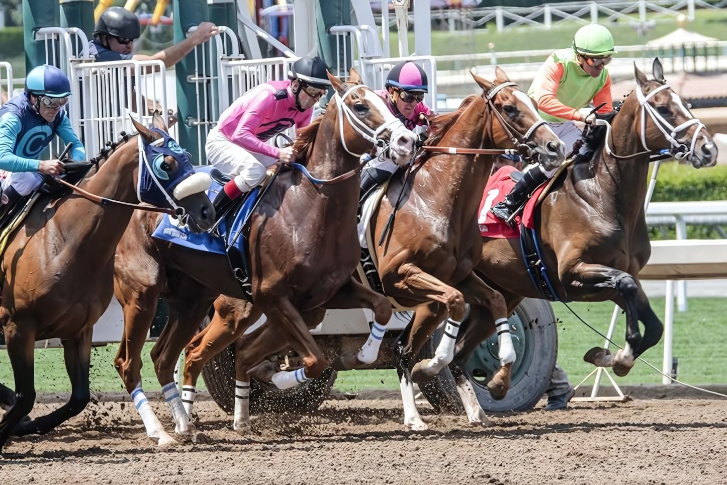 Saratoga Horse Race Track