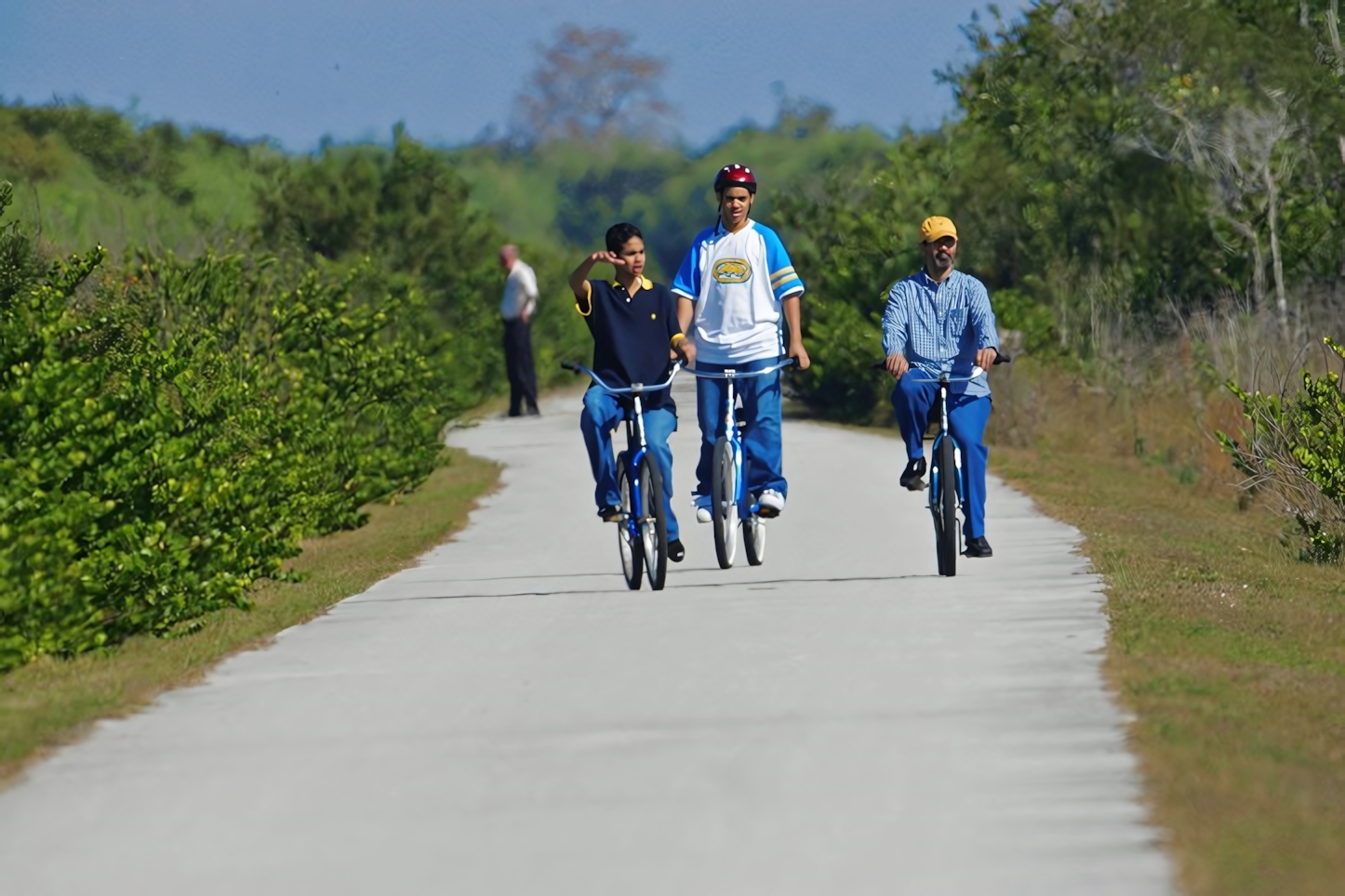 Shark Valley Bike Tour, Everglades