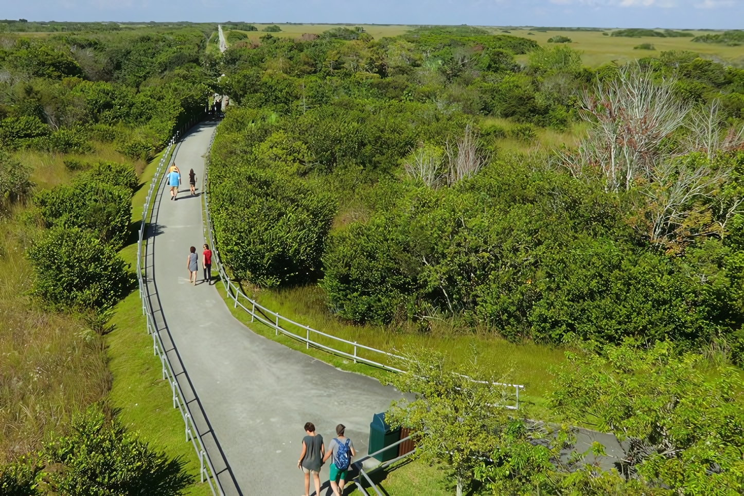 Everglades National Park: Top Things to Do in One Day - Florida's Wild Adventure