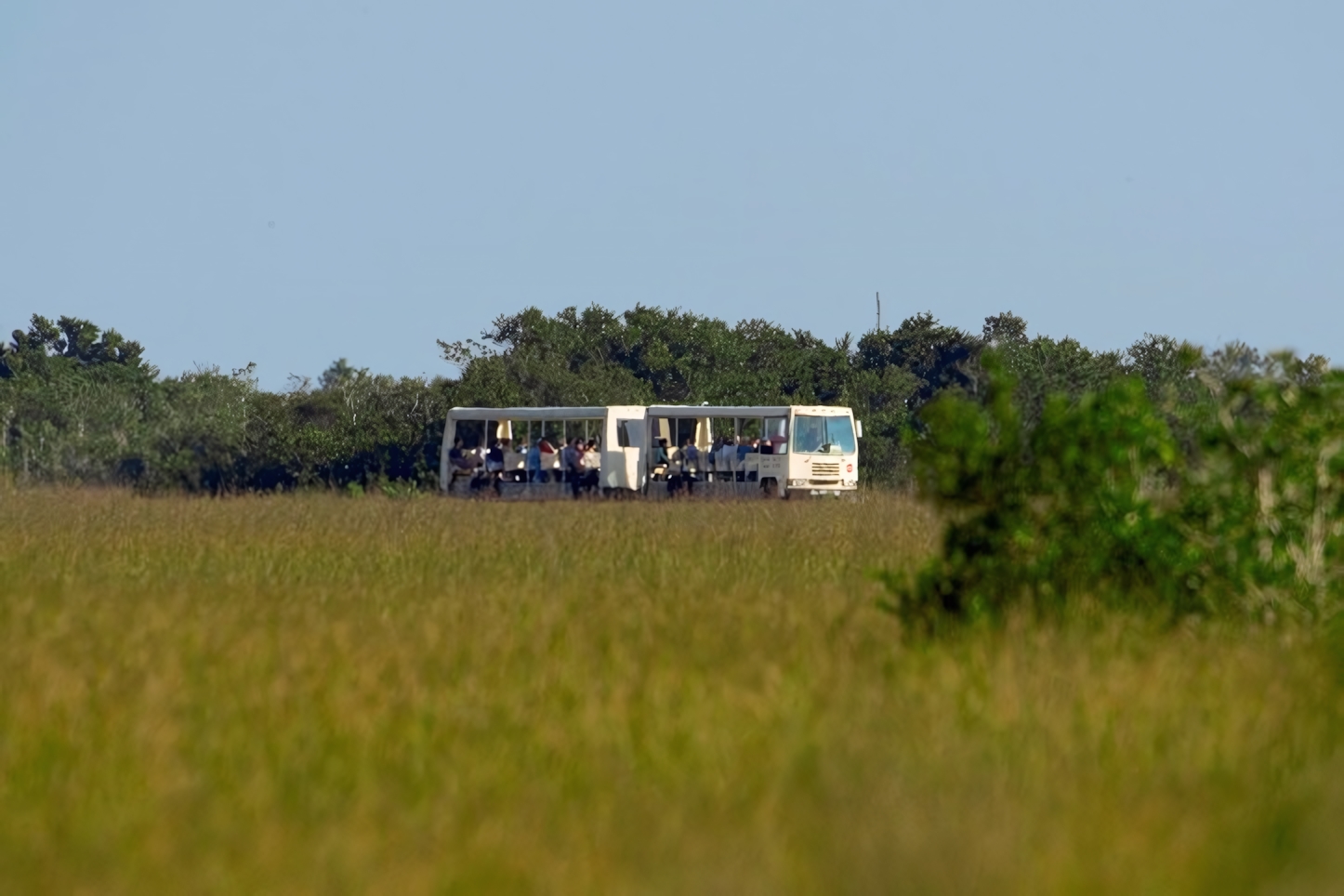 Shark Valley Tram Tour, Everglades