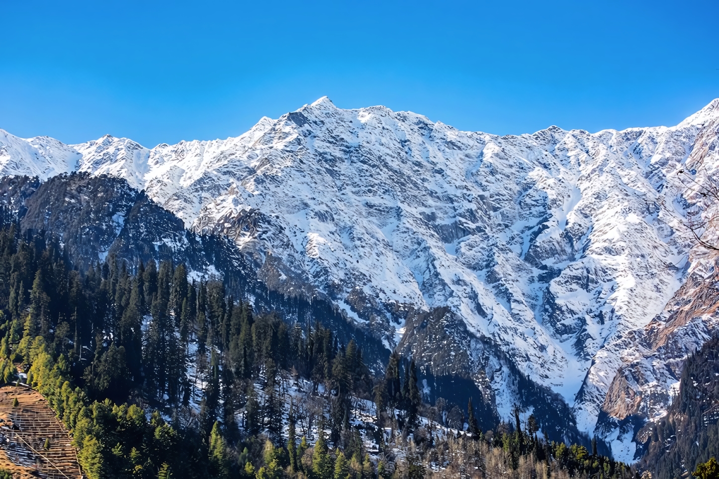 Snow Caped Mountain, Manali