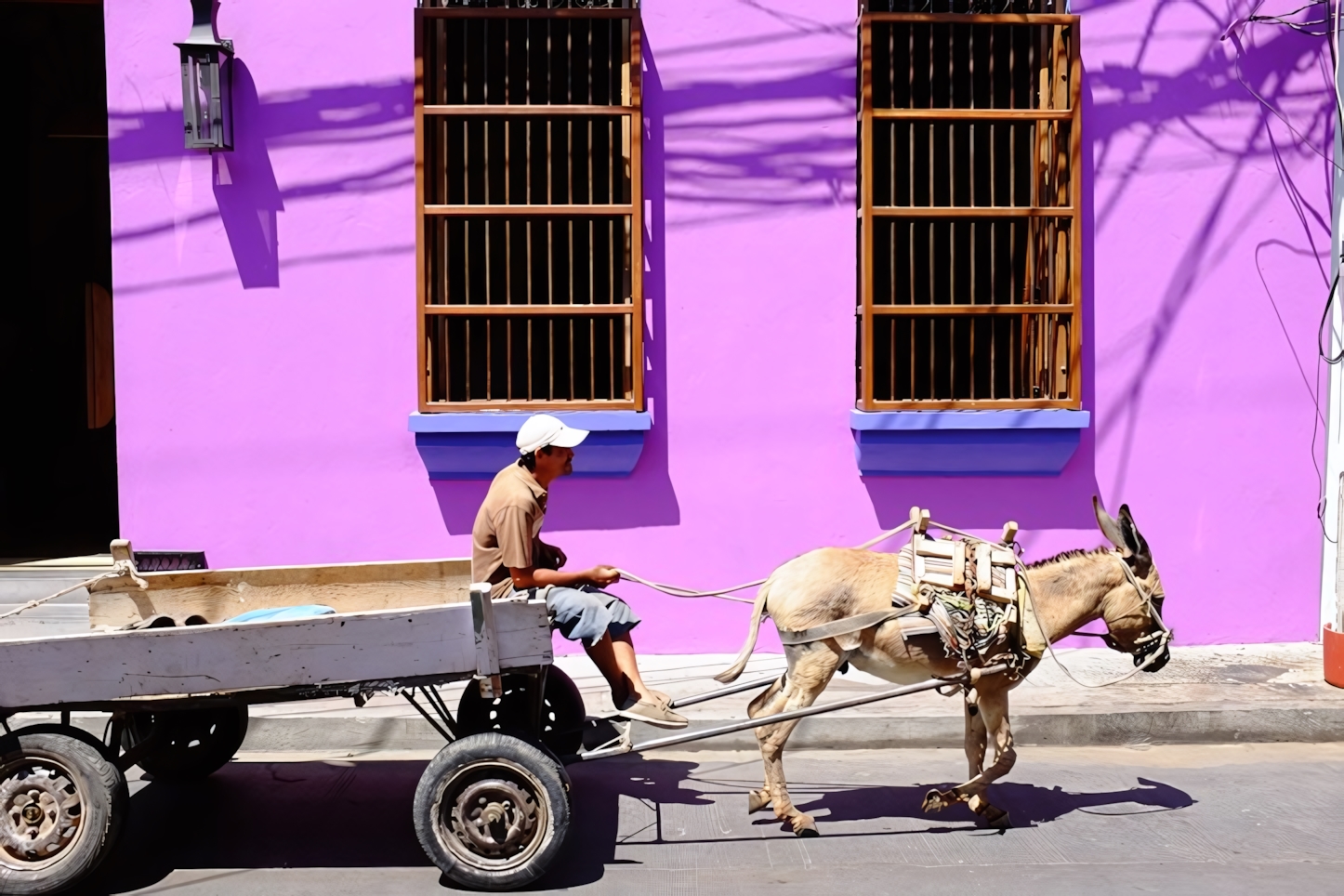 Santa Marta in a Day: Must-See Attractions and Activities in Colombia's Caribbean Gem