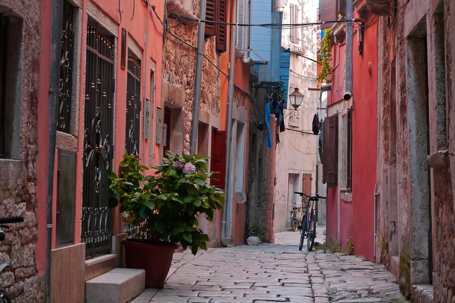 Streets of Rovinj