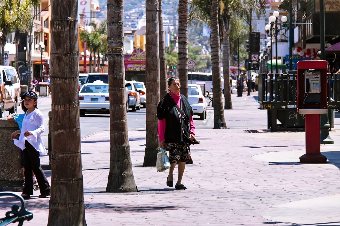 Tijuana Callejera