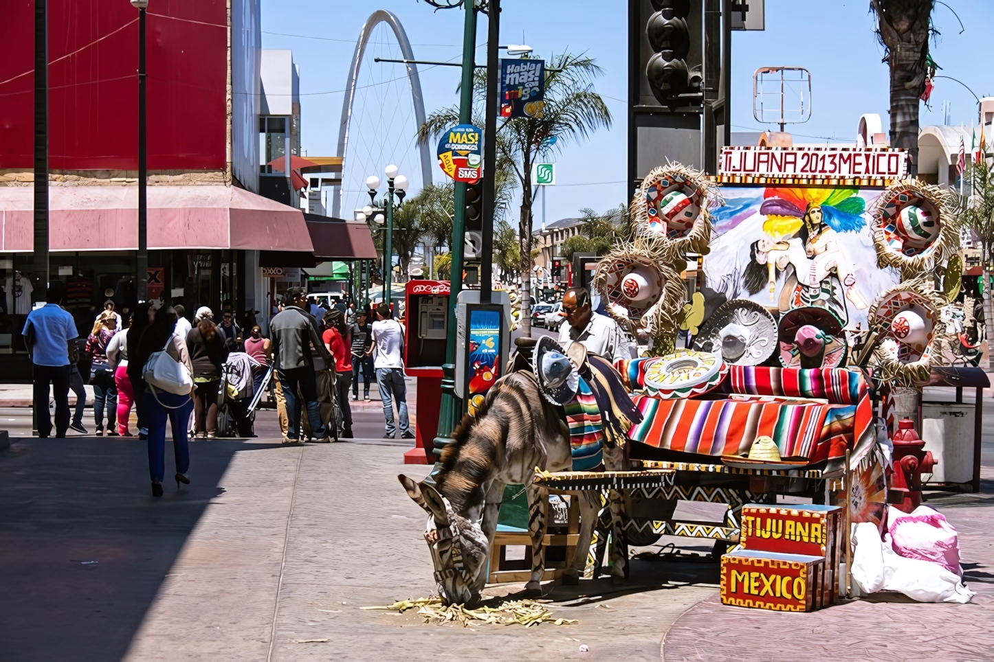 Tijuana Callejera