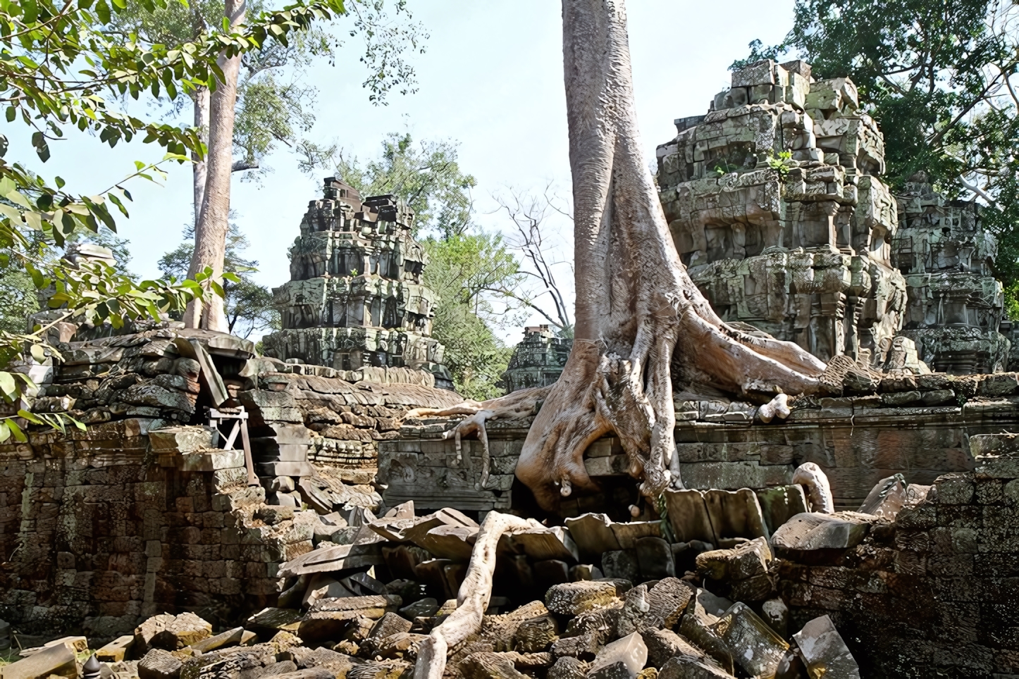 Ta Phrom Angkor Wat, Siem Reap