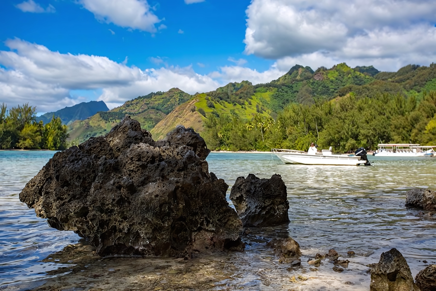 Tahiti in a Day: Top Attractions and Must-See Sights for Your Island Adventure