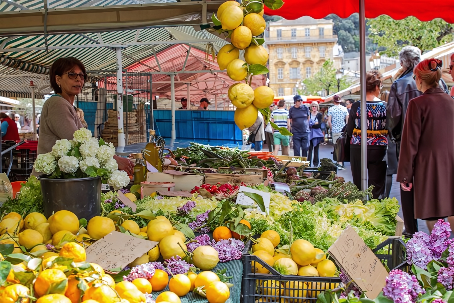 The Cours Saleya Market