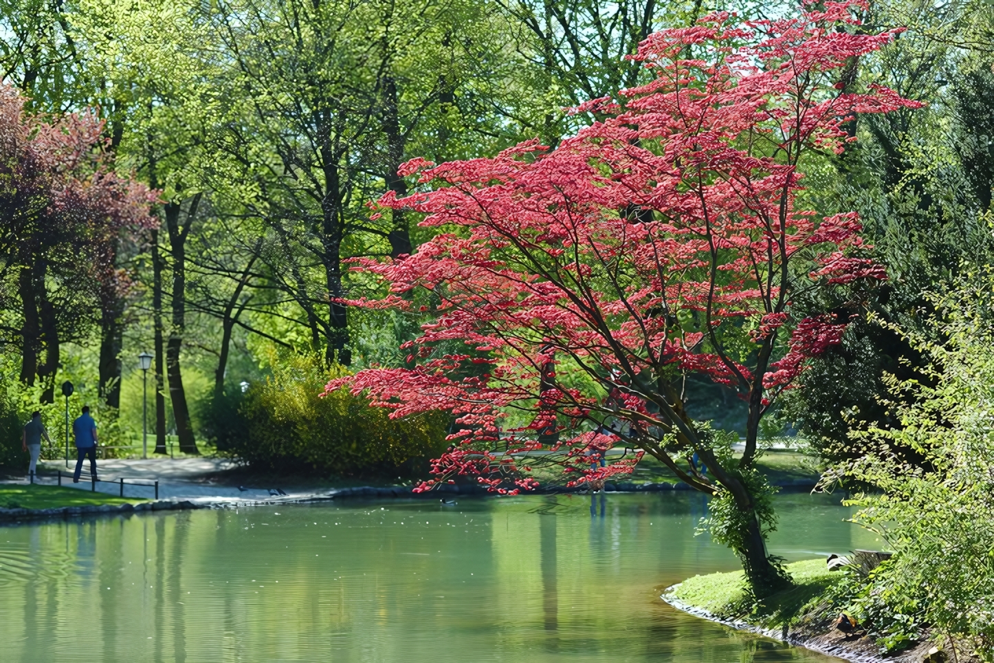 The Englisch Garten, Munich