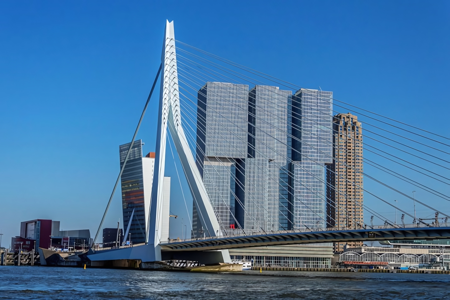 The Erasmus Bridge, Rotterdam